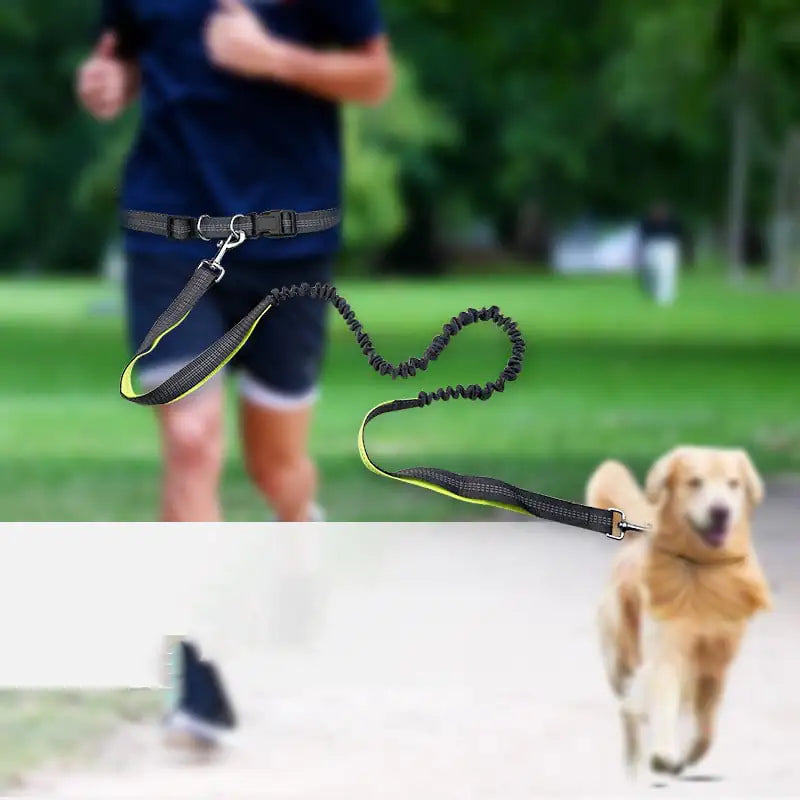 Trela de corrida retrátil anti choque